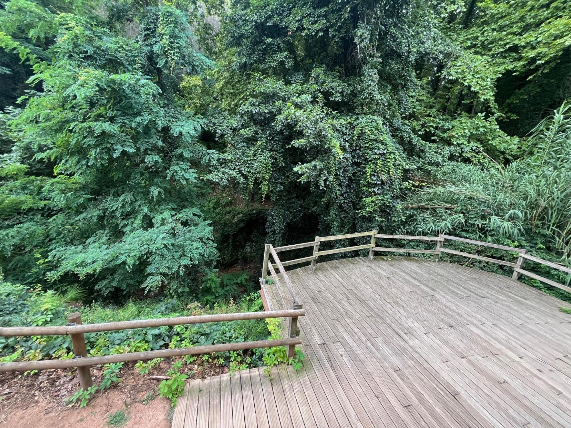 Apartamento El Mirador De La Farga Arbúcies Exterior foto